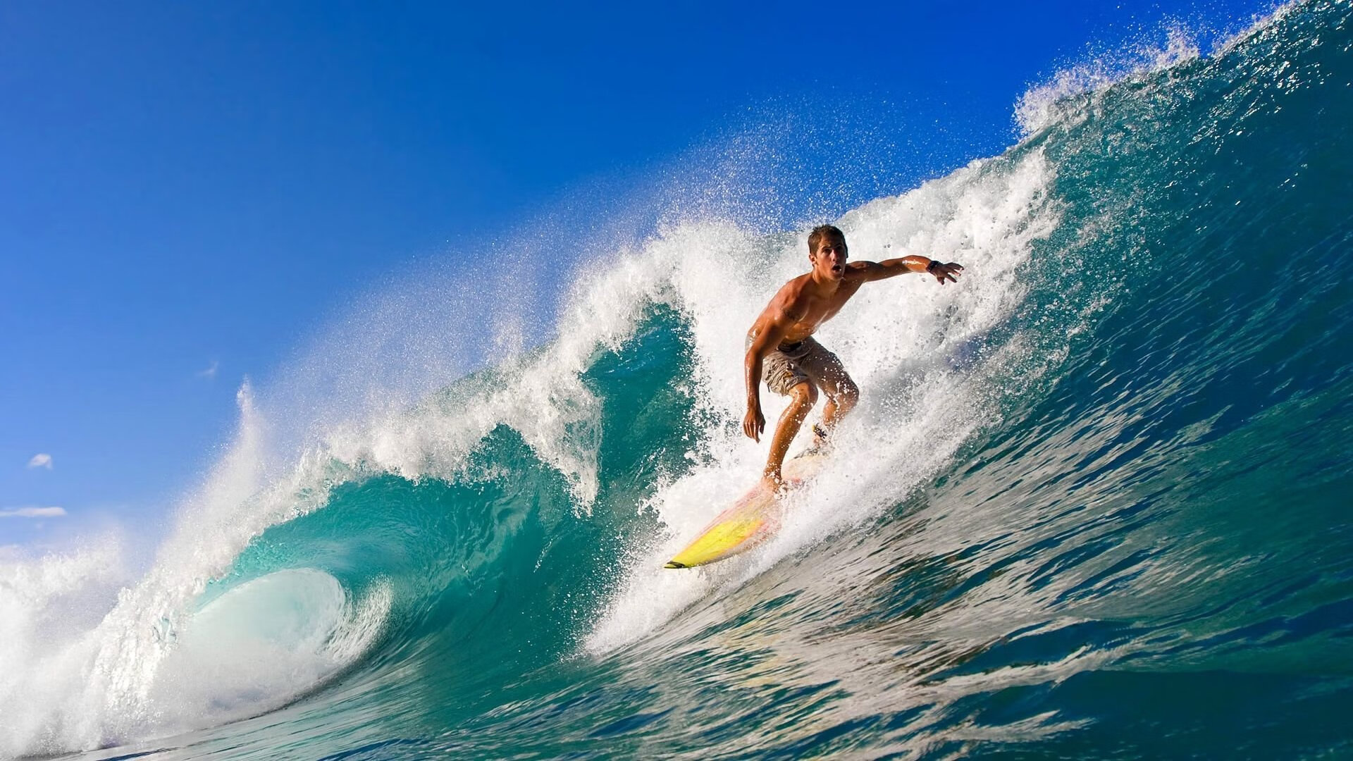 Kaiyun官方登录入口-南非羚羊队：不惧任何挑战，每一次进攻与防守都充满力量与智慧